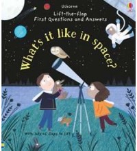 What's it like in space?   Lift-the-Flap First Questions and Answers 