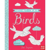 Press Out and Colour: Birds Nosy Crow