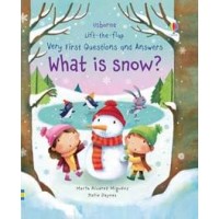 What is snow?  Lift-the-flap Very First Questions and Answers  