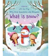 What is snow?  Lift-the-flap Very First Questions and Answers  