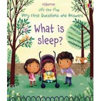 What is Sleep?  Lift-the-flap Very First Questions and Answers