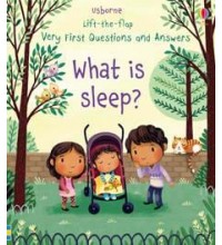 What is Sleep?  Lift-the-flap Very First Questions and Answers