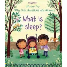 What is Sleep?  Lift-the-flap Very First Questions and Answers